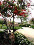 美国哈利法克斯社区学院(韦尔登)