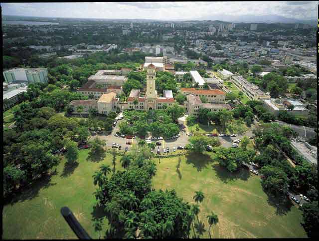 波多黎各大学