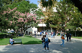 美国圣安娜学院(原兰丘圣地亚哥社区学院)(圣安娜)