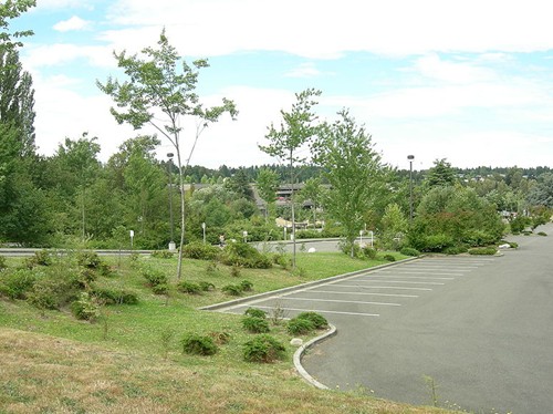 美国北西雅图社区学院(西雅图)