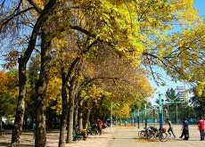 美国北纽约犹太法典学院(罗彻斯特)
