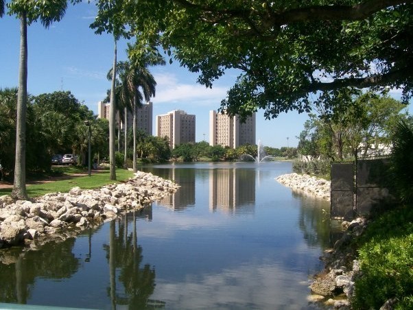 美国迈阿密大学(科勒尔盖布尔斯)