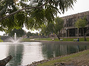 美国大陆学院(德克萨斯城)