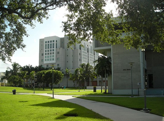 佛罗里达国际大学(迈阿密)