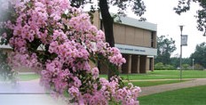 美国斯巴坦堡卫理公会学院(斯巴坦堡)