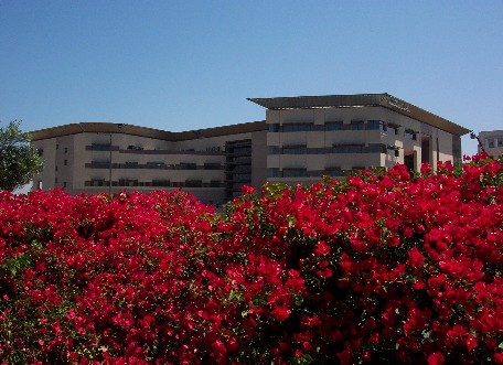 加州州立大学圣马科斯分校(圣马科斯)