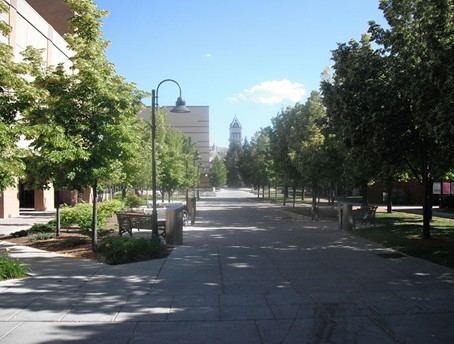 犹他州立大学(洛根)