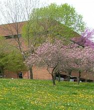 美国霍金学院(尼尔森维尔)