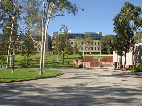 加州州立大学长滩分校(长滩)