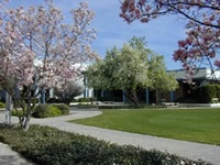 美国里德里学院(原国王河社区学院)(里德里)