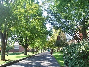 美国萨斯奎哈纳大学(赛林色格罗夫) 美国萨斯奎哈纳大学(赛林色格罗夫)