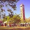 美国基督兄弟大学(孟菲斯)_图片
