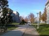 美国密苏里州立大学（春田）_图片