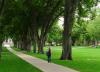 美国科罗拉多州立大学(柯林斯堡)_图片
