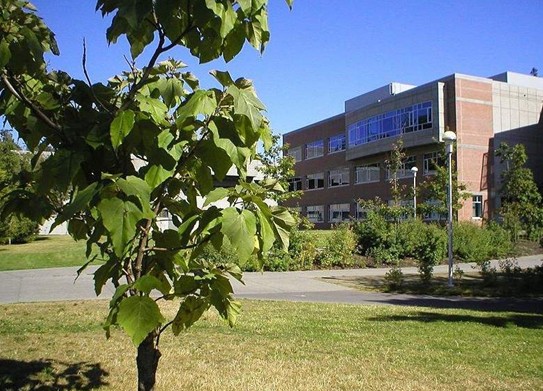 加拿大维多利亚大学 加拿大维多利亚大学