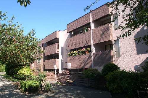 美国肯兴顿学院(圣安娜)