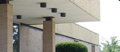 美国威廉斯堡技术学院(国王树) 美国威廉斯堡技术学院(国王树)