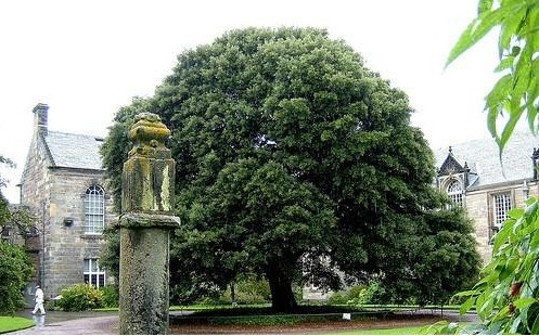 英国圣安德鲁斯大学 英国圣安德鲁斯大学