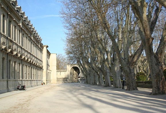 法国阿维尼翁大学