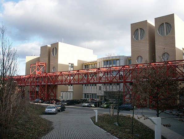 海德堡大学