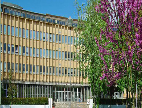 法国洛林大学