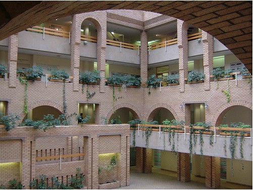 南非开普敦大学