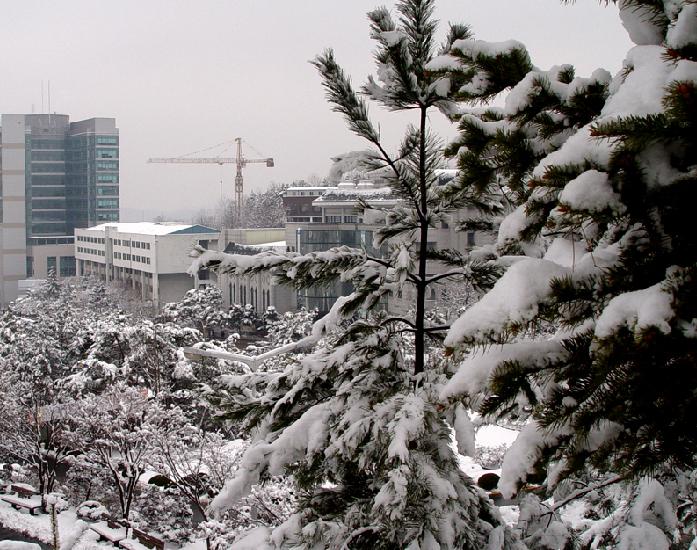韩国江南大学
