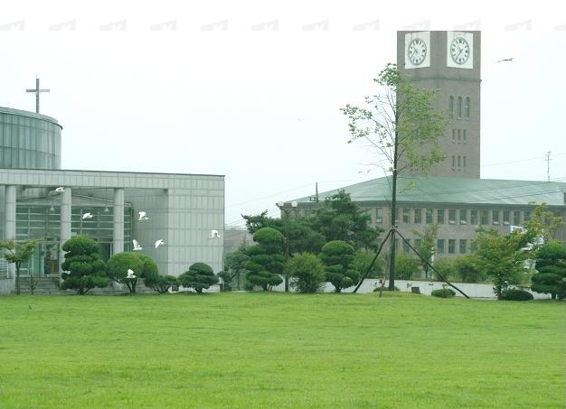 韩国全州大学