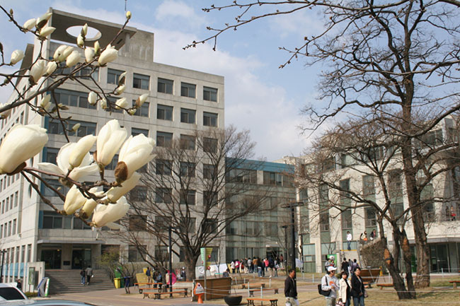 韩国圣公会大学 韩国圣公会大学