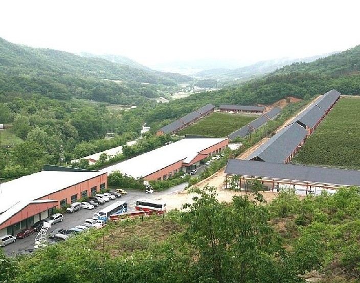 韩国圣民大学