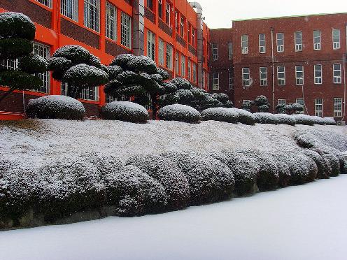 韩国大邱未来大学