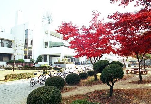 韩国岭南大学