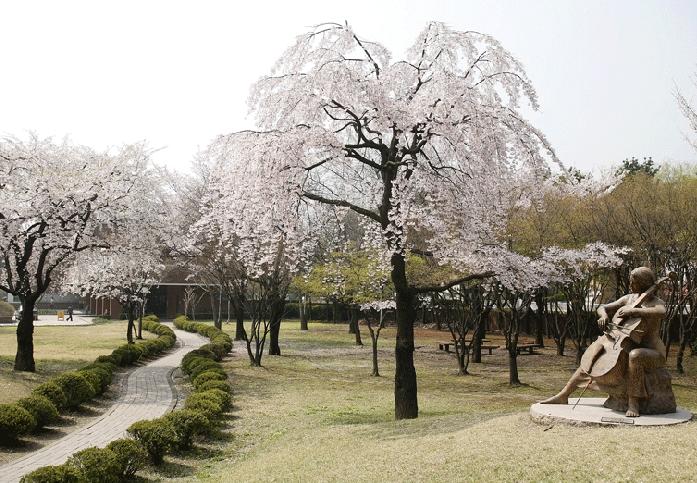 韩国德成女子大学
