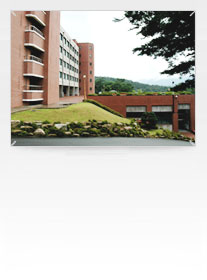 韩国庆州大学