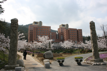 韩国东新大学