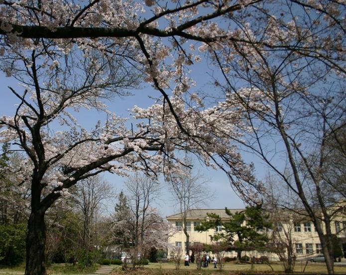 韩国忠北大学