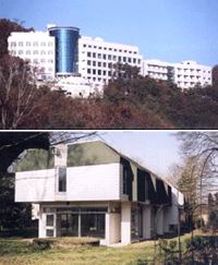 韩国国际法律经营大学院