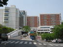 韩国江南大学 韩国江南大学