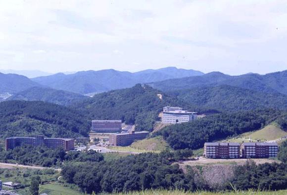 韩国加耶大学