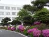 韩国群山看护大学_图片