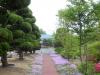 韩国群山看护大学_图片