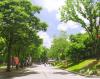 韩国世宗大学_图片