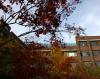 韩国江南大学_图片
