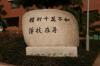 韩国东洋工业专门大学_图片