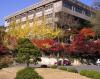 韩国江南大学_图片