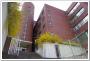 韩国釜山外国语大学