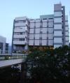 中国香港中文大学_图片