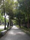 中国台湾大同大学_图片