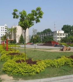 信阳农业高等专科学校(现信阳农林学院) 信阳农业高等专科学校(现信阳农林学院)