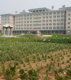 山东力明科技职业学院 山东力明科技职业学院